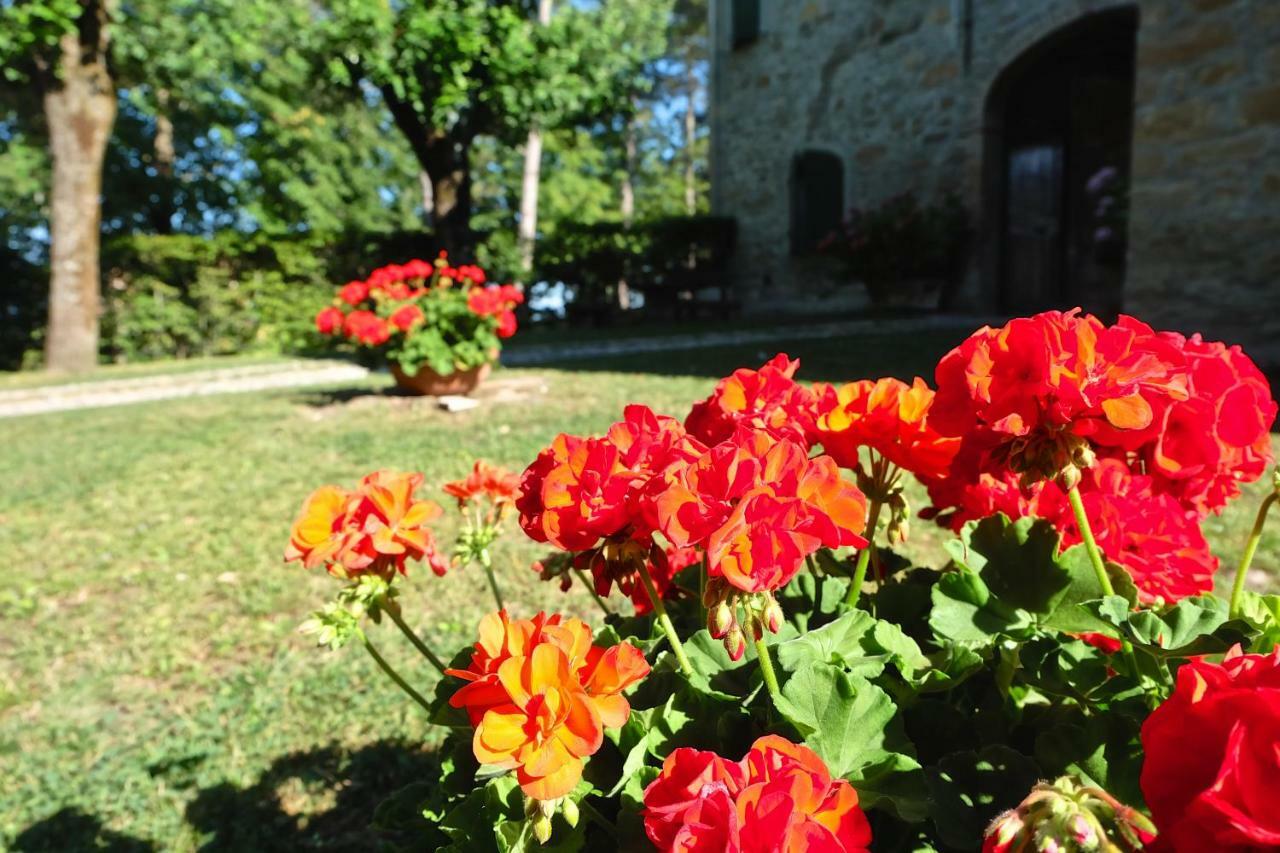 Bed and Breakfast La Corte Bonomini Neviano degli Arduini Екстер'єр фото